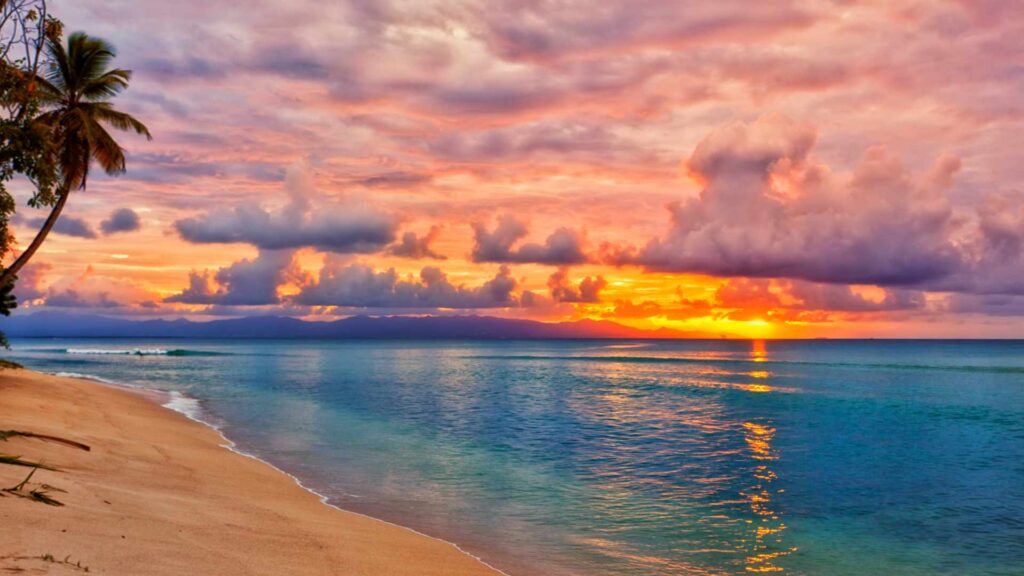 Beaches