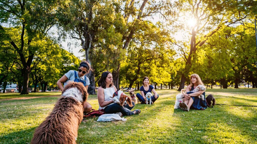 Pet-Friendly Pensacola, Florida: 5 Activities for You and Your Furry Friends
