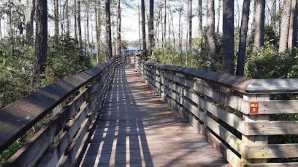 Tarklin Bayou Preserve State Park